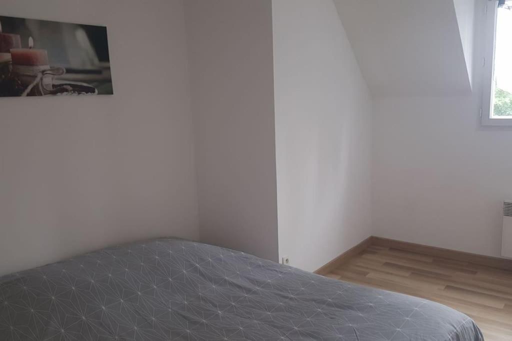 Logement Plein Centre De Plerin A Proximite Des Plages Et Des Commerces Экстерьер фото