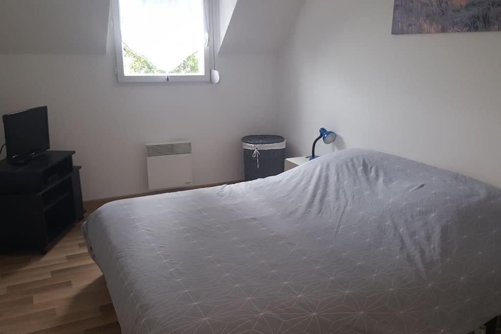 Logement Plein Centre De Plerin A Proximite Des Plages Et Des Commerces Экстерьер фото
